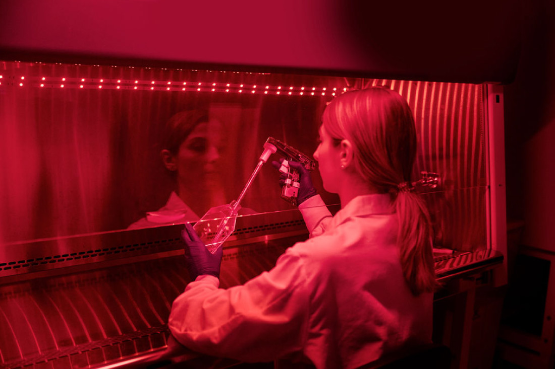 Example of caption for image.